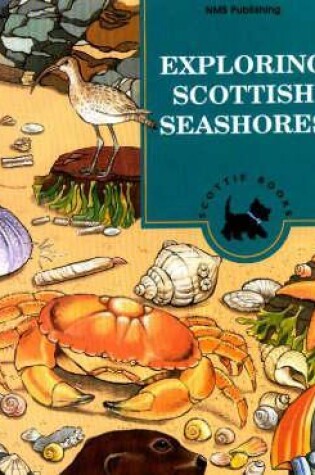 Cover of Exploring Scottish Seashores: Activity Book