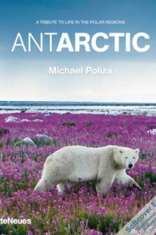 Cover of Michael Poliza Antarctic