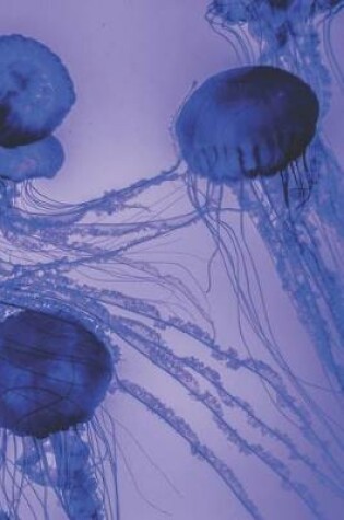 Cover of Blue Jellyfish Journal