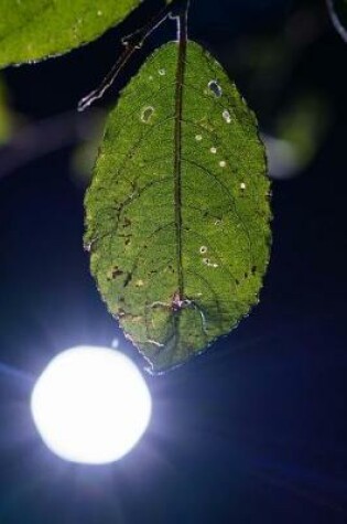 Cover of Leaf with Back Light Journal