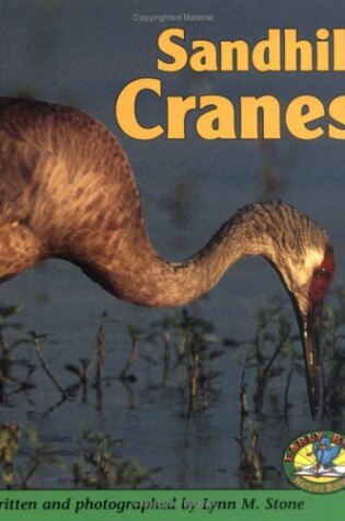 Cover of Sandhill Cranes