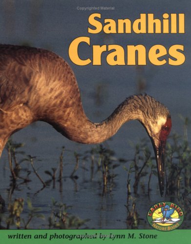 Cover of Sandhill Cranes