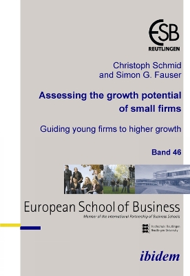 Book cover for Assessing the growth potential of small firms