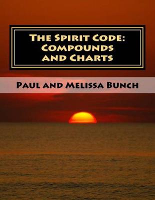 Book cover for The Spirit Code