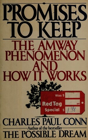 Book cover for Promise to Keep