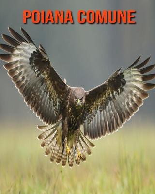 Book cover for Poiana comune