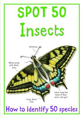 Cover of Spot 50 Insects