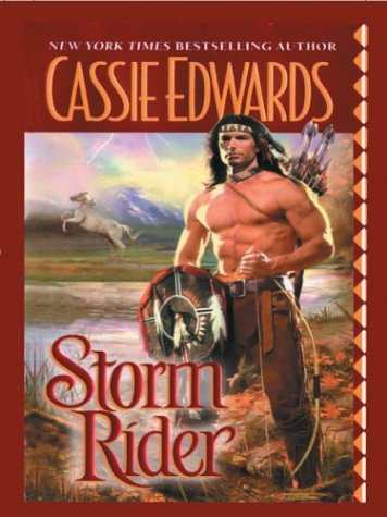 Book cover for Storm Rider