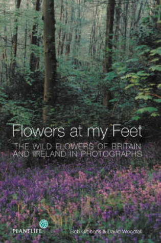 Cover of Flowers at My Feet