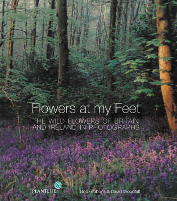 Book cover for Flowers at My Feet