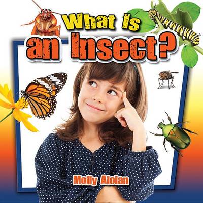 Book cover for What Is an Insect?