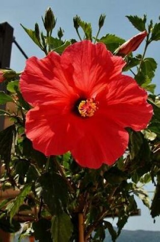 Cover of A Bright Red Hibiscus Tropical Flower Journal