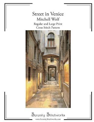 Book cover for Street in Venice Cross Stitch Pattern - Mitchell Wolf