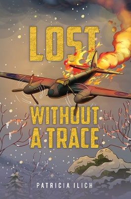 Book cover for Lost Without a Trace