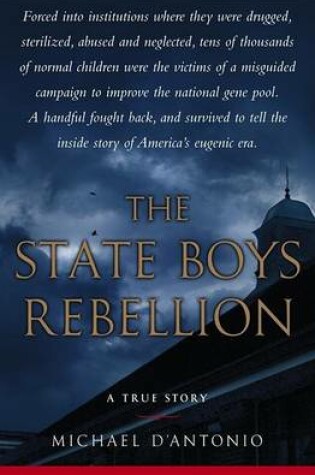 Cover of The State Boys Rebellion