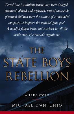 Book cover for The State Boys Rebellion