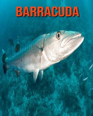 Book cover for Barracuda