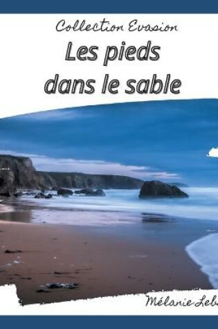 Cover of Les pieds dans le sable