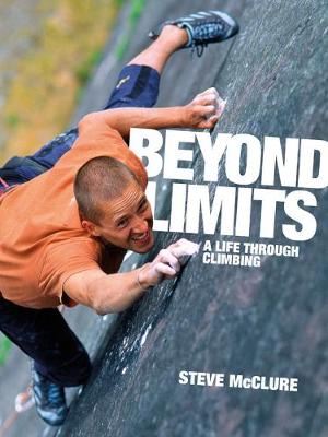 Book cover for Beyond Limits