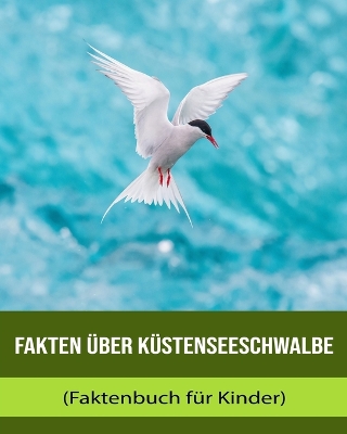 Book cover for Fakten über Küstenseeschwalbe (Faktenbuch für Kinder)