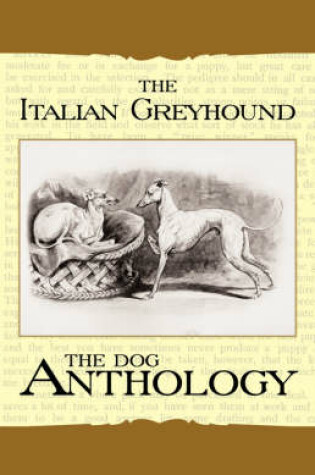 Cover of The Italian Greyhound - A Dog Anthology (A Vintage Dog Books Breed Classic)