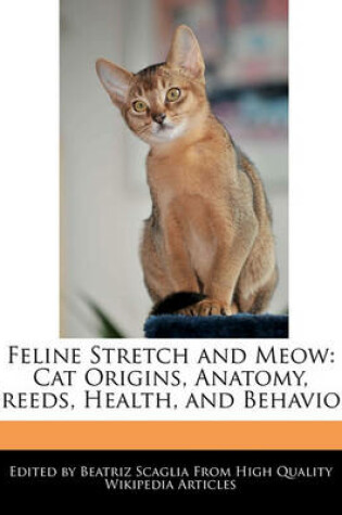 Cover of Feline Stretch and Meow