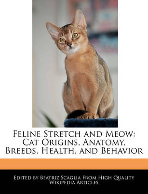 Book cover for Feline Stretch and Meow