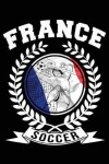 Book cover for France Soccer