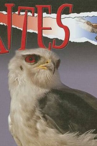 Cover of Kites