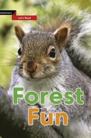 Cover of Forest Fun