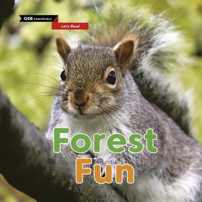 Book cover for Forest Fun