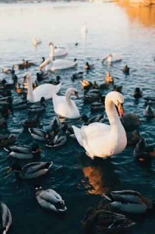 Cover of Swans and Ducks Swimming Together on a Lake Water Fowl Journal