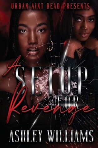 Cover of A Setup For Revenge