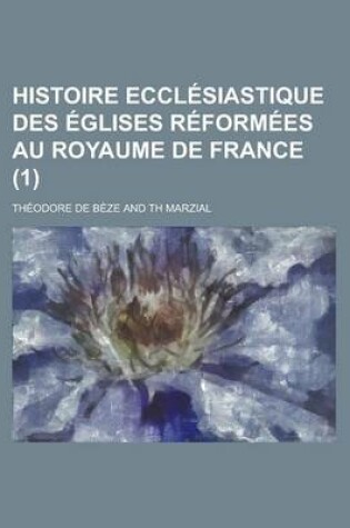 Cover of Histoire Ecclesiastique Des Eglises Reformees Au Royaume de France (1 )