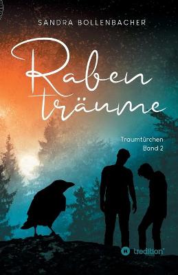 Book cover for Rabenträume - Traumtürchen Band 2
