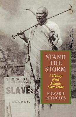 Book cover for Stand the Storm