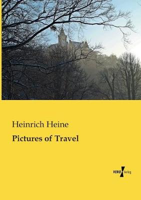 Book cover for Pictures of Travel