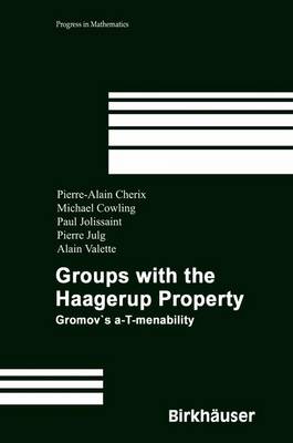 Book cover for Groups with the Haagerup Property