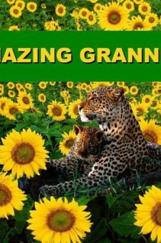 Cover of Amazing Grannies