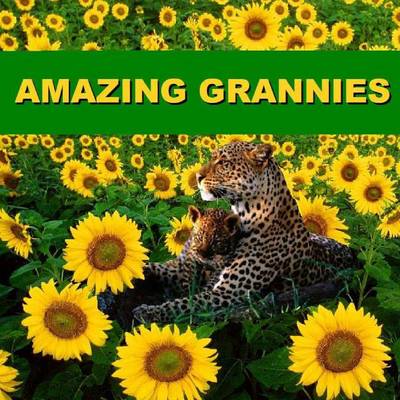 Book cover for Amazing Grannies