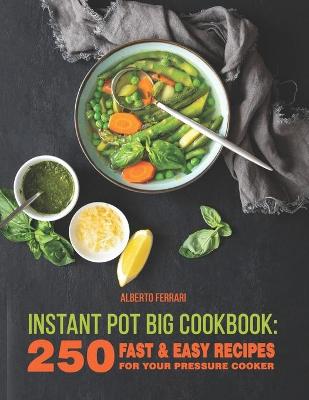 Book cover for Instant Pot BIG Cookbook