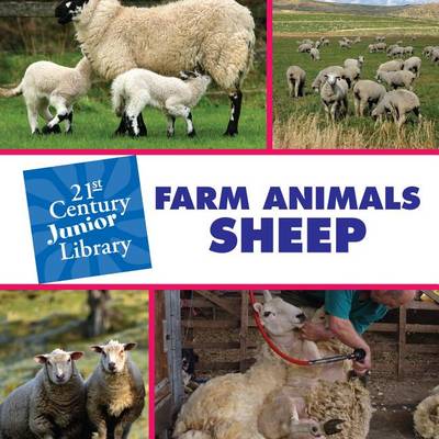 Book cover for Farm Animals: Sheep