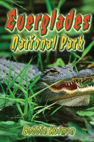 Cover of Everglades National Park