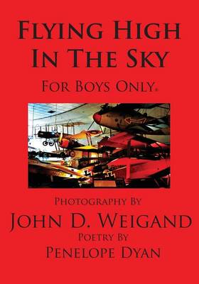 Book cover for Flying High In The Sky---For Boys Only