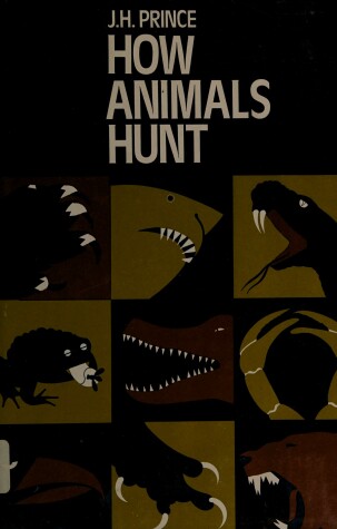 Book cover for How Animals Hunt
