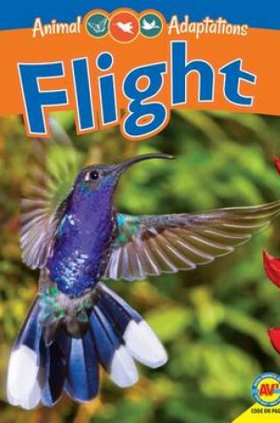 Cover of Flight