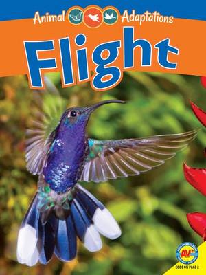 Cover of Flight