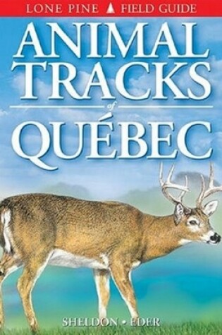 Cover of Animal Tracks of Quebec