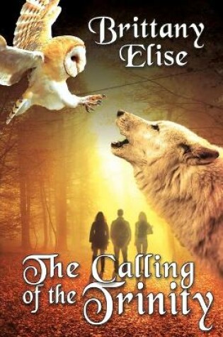 Cover of The Calling of the Trinity