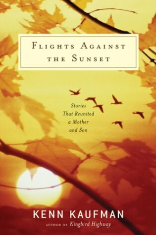 Cover of Flights Against the Sunset